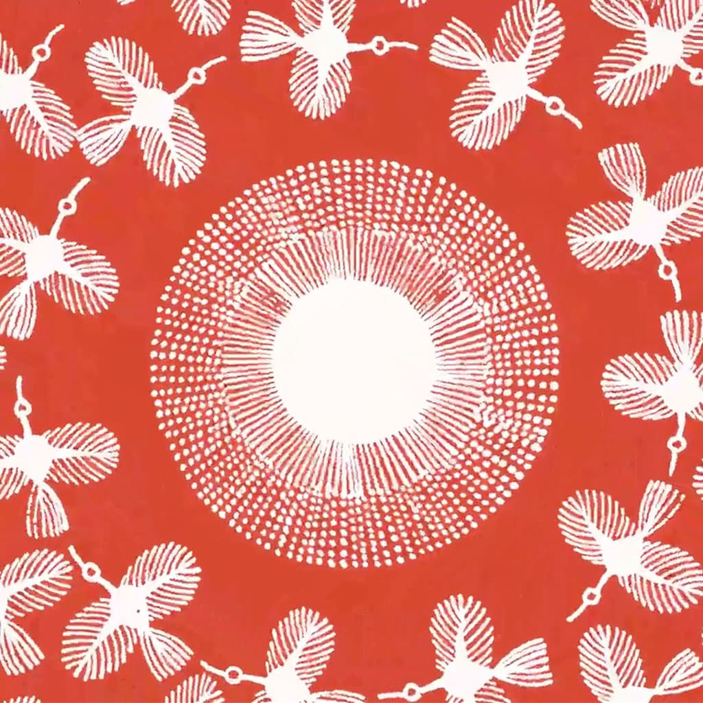 natgeo x Rurban image 4