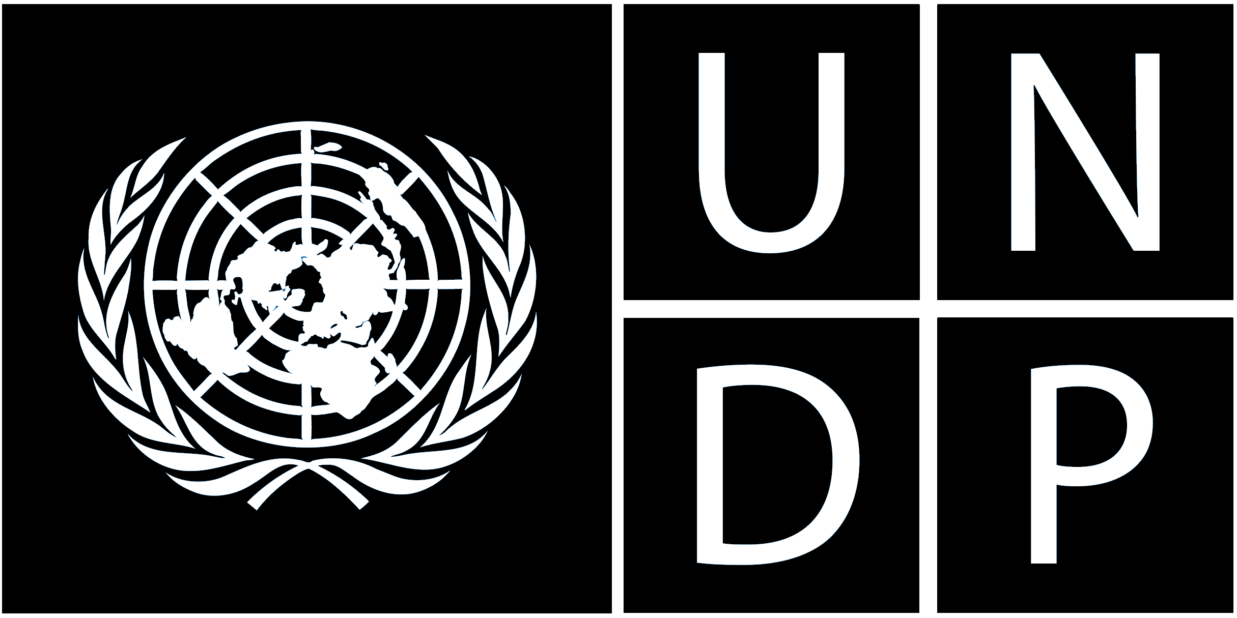 UNDP